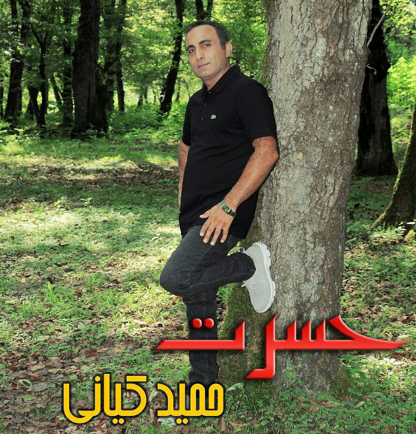 حمید کیانی حسرت